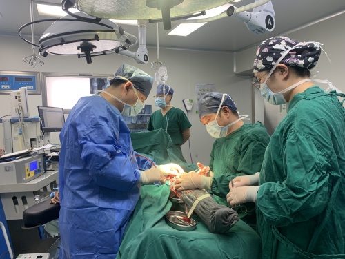 我院史上最高齡102歲老人手術(shù)成功！.jpg